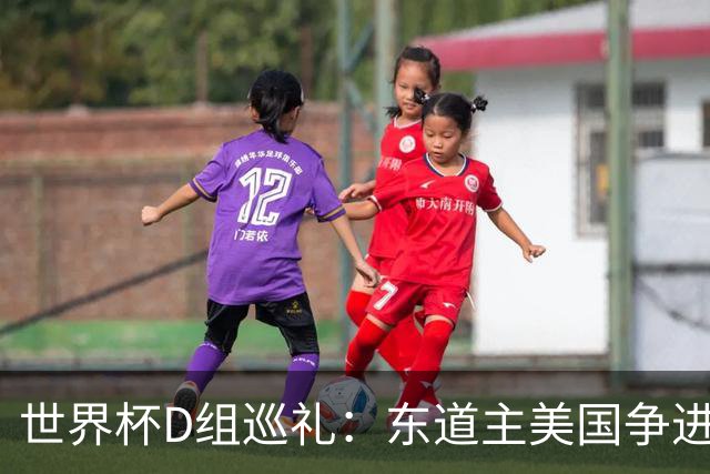 世界杯D组巡礼：东道主美国争进8强 土耳其巴拉圭澳洲混战