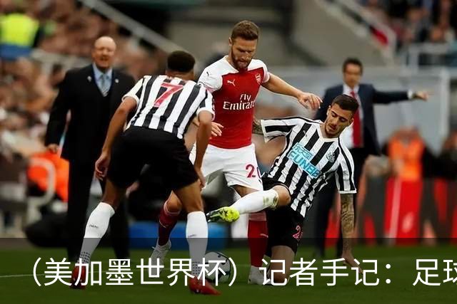 （美加墨世界杯）记者手记：足球世界，规则谁定？